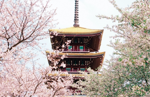武汉
