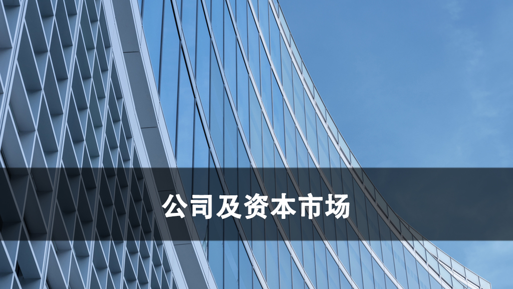公司及资本市场独立页面.jpg