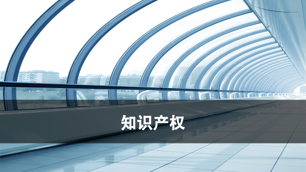 知识产权.jpg